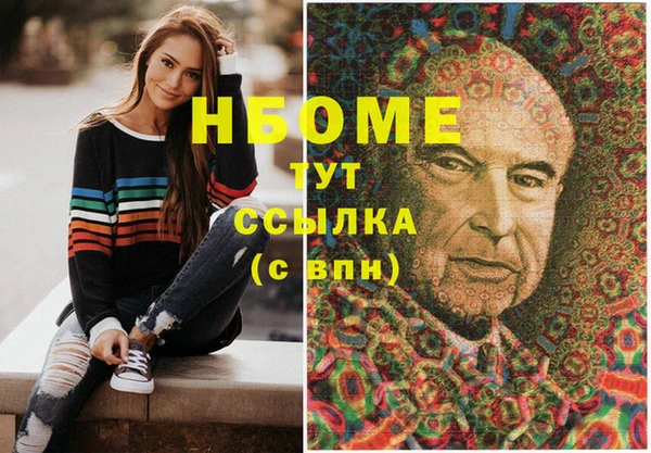 гашик Коряжма