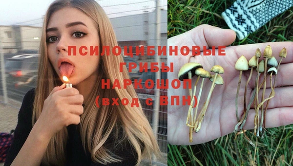 таблы Костерёво