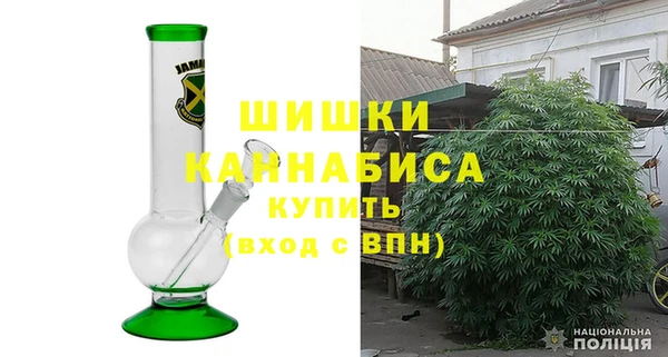 гашик Коряжма