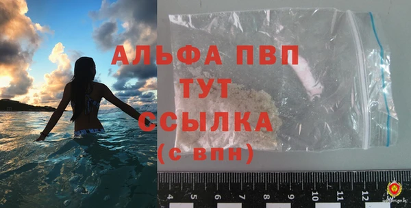 гашик Коряжма
