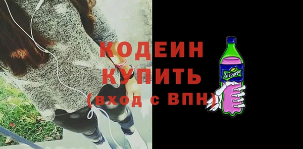 гашик Коряжма