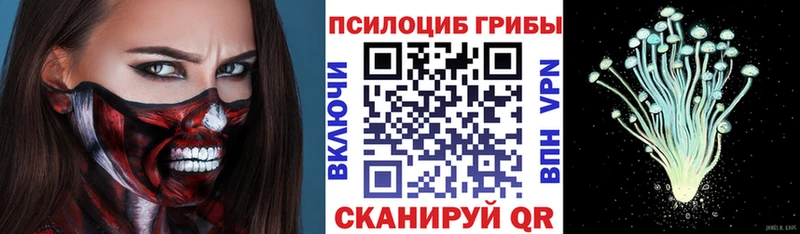 Галлюциногенные грибы Cubensis  гидра ТОР  Муром 